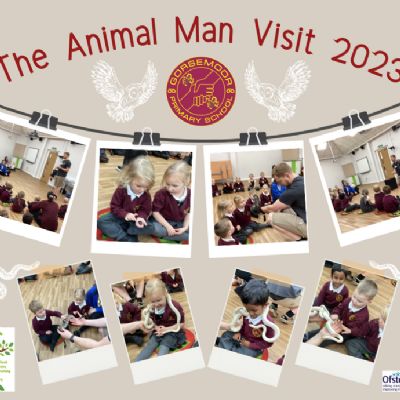 Early Years - The Animal Man visit 2023