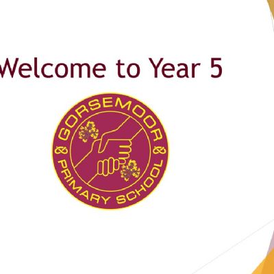 Year 5 Overview