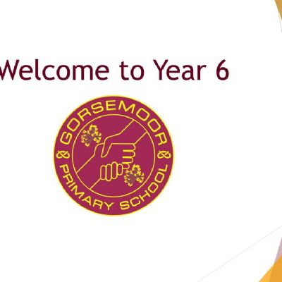 Year 6 Overview